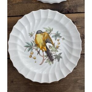 Copeland Spode Maynard's Cuckoo England 9" Bird Collector Plate Vintage 1960-70s